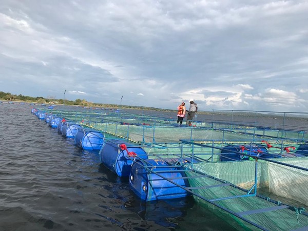 Aquaculture Research & Development