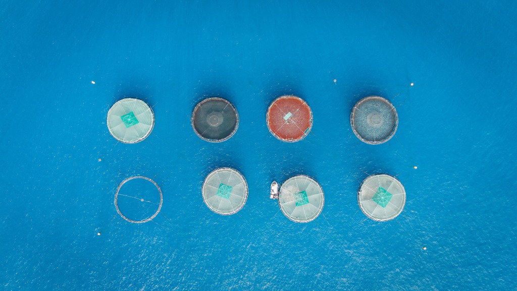 Aquaculture background