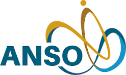 ANSO logo